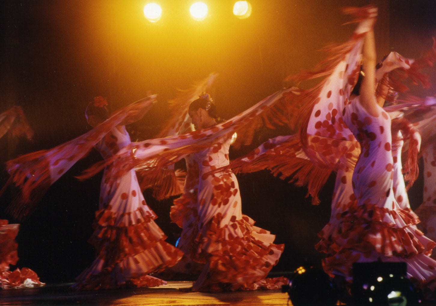 Deseo Flamenco Night（東京プリンスホテル）