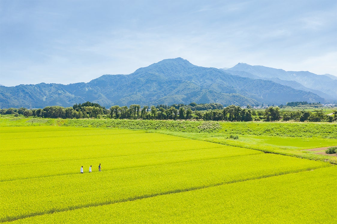 南魚沼市にある庄治郎商会の田んぼ