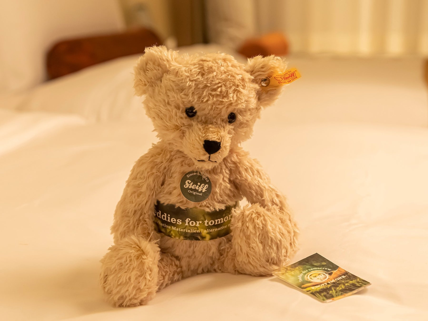 「Teddies for tomorrow」テディベア アントン イメージ