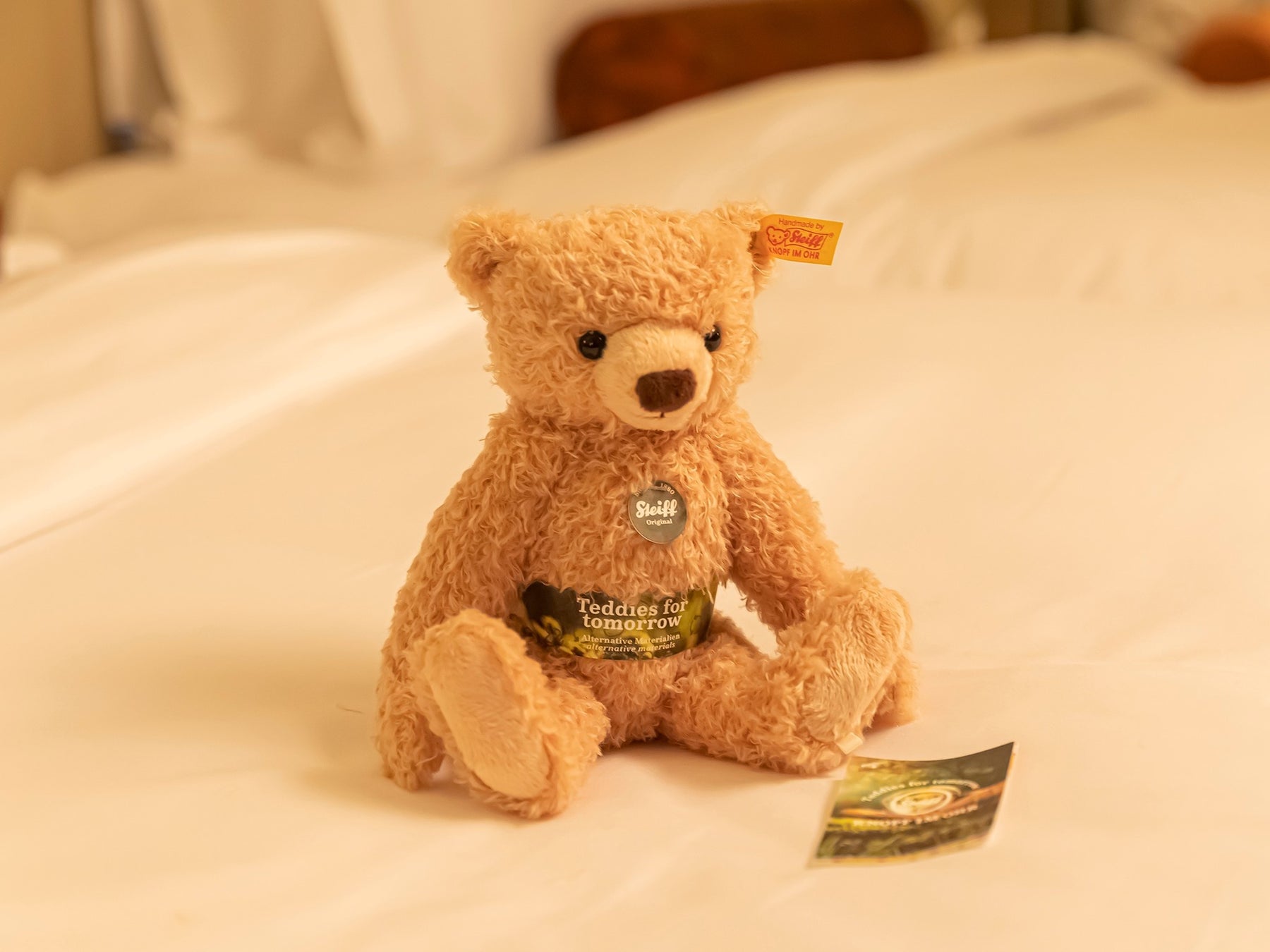 「Teddies for tomorrow」テディベア マックス イメージ