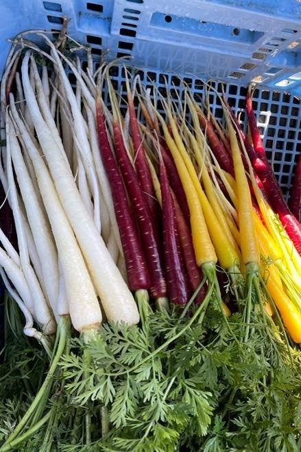 「カラフル野菜の小山農園」の野菜 イメージ