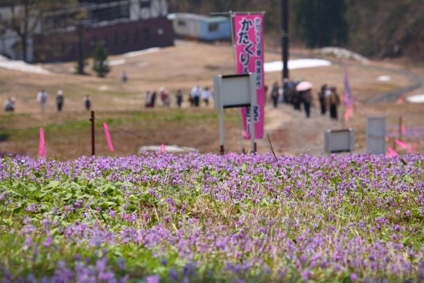 カタクリウィークの様子