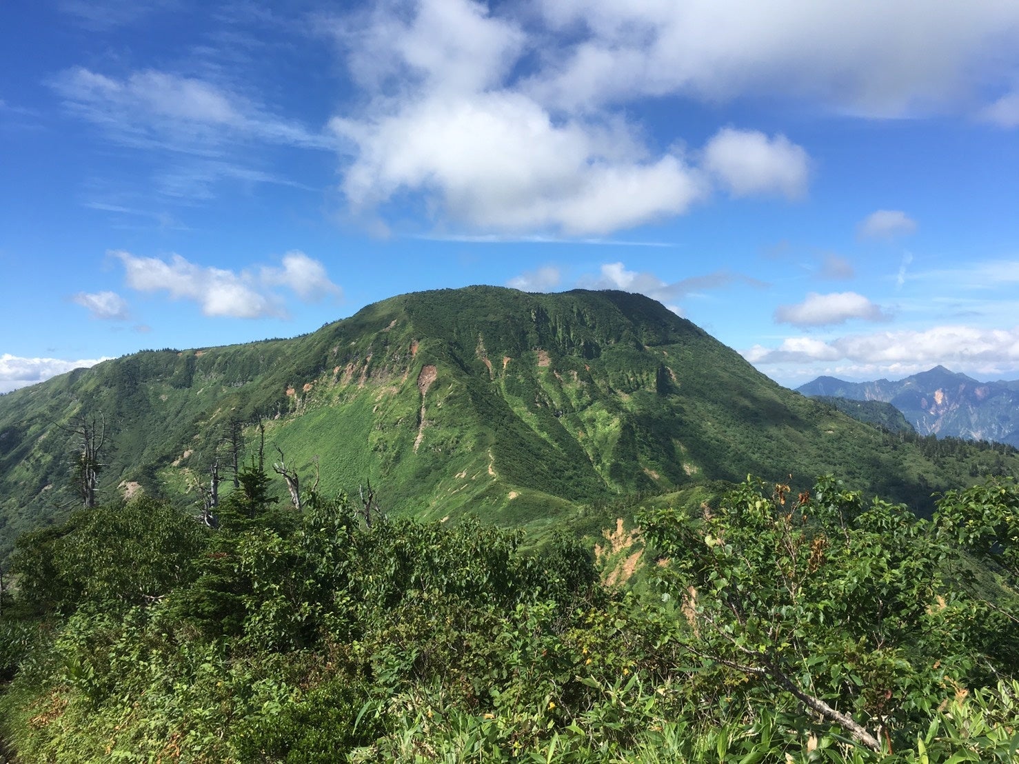 日本百名山・花の百名山 苗場山