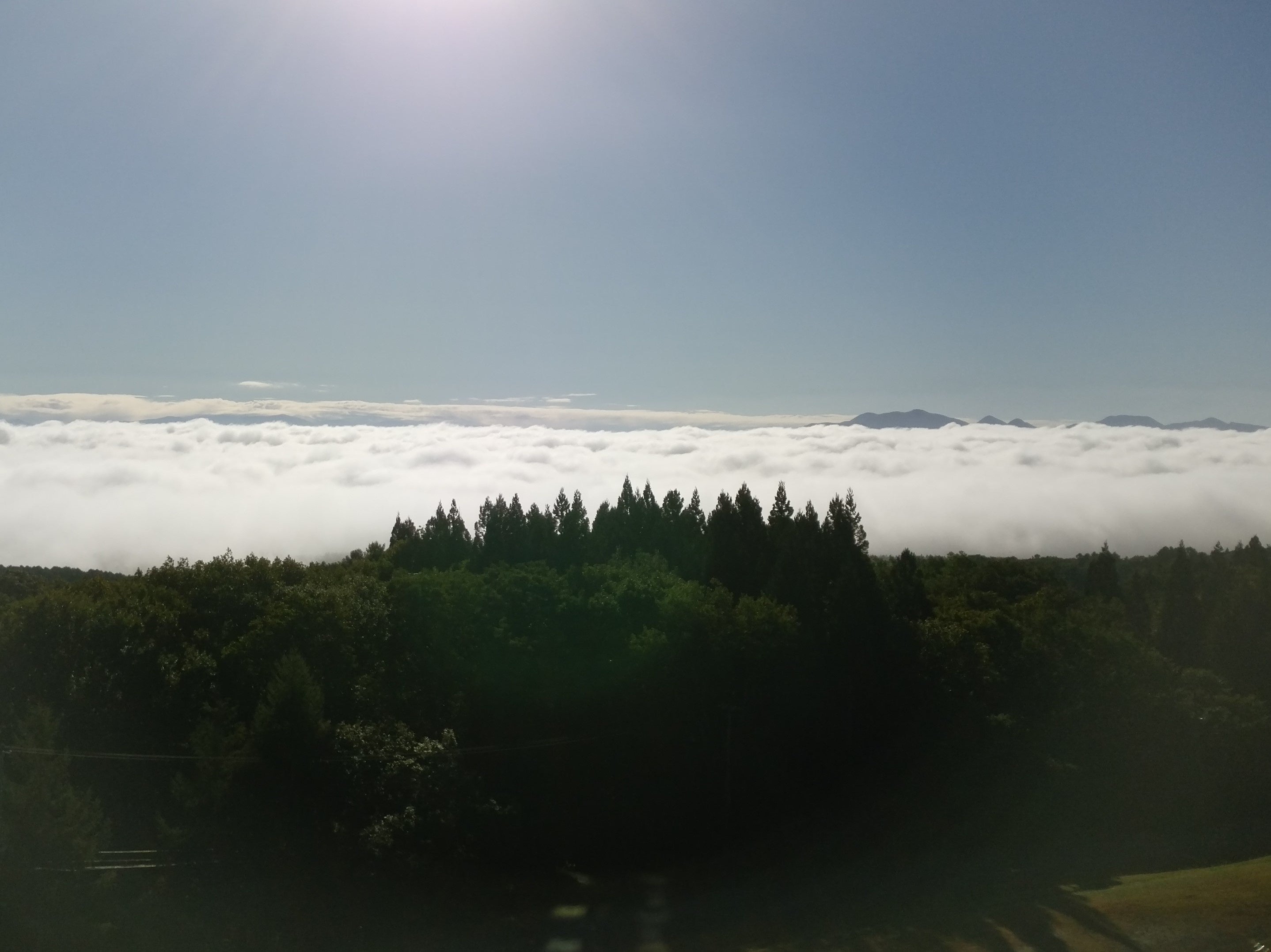 客室からの雲海