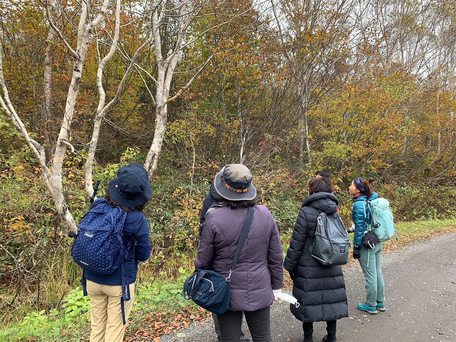 自然ガイド 飯田千香子さんと楽しむ紅葉狩り