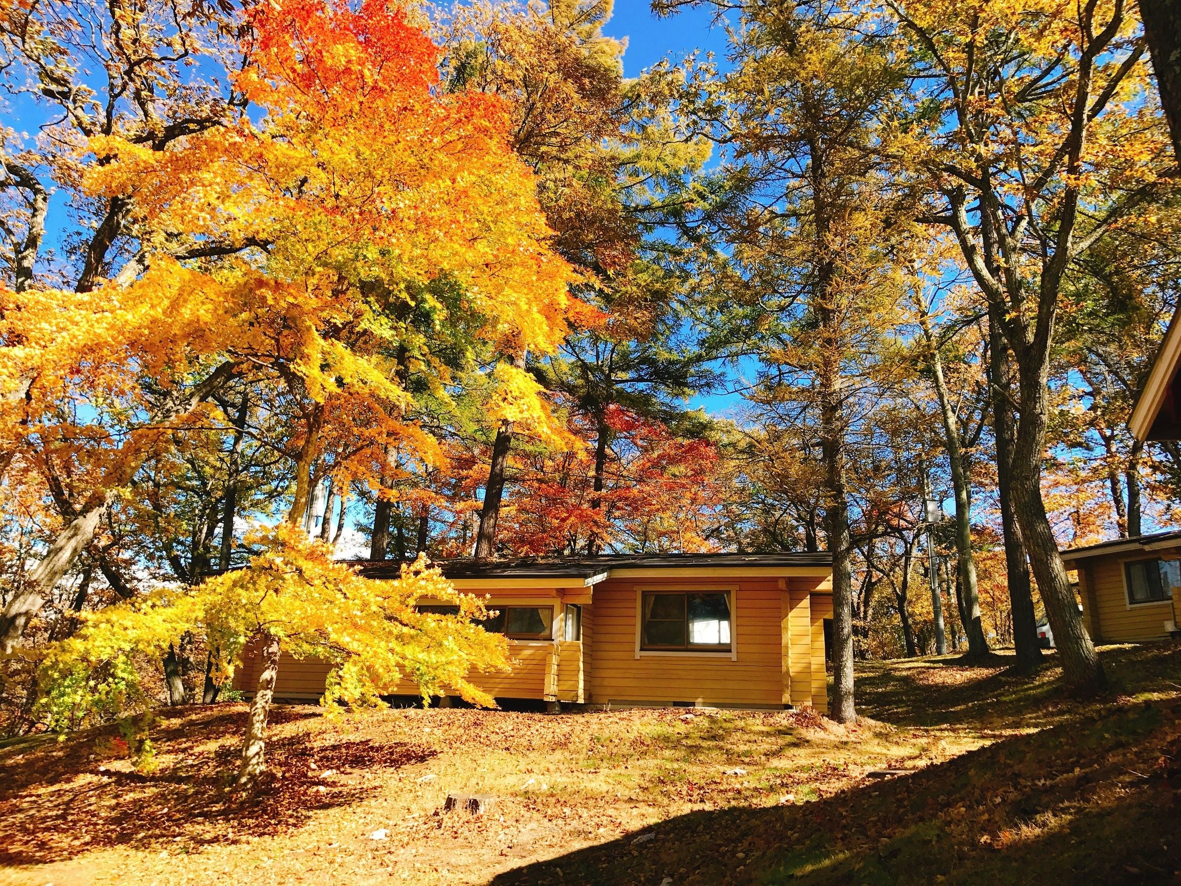 ❷黄色や赤のカラフルなコテージと紅葉