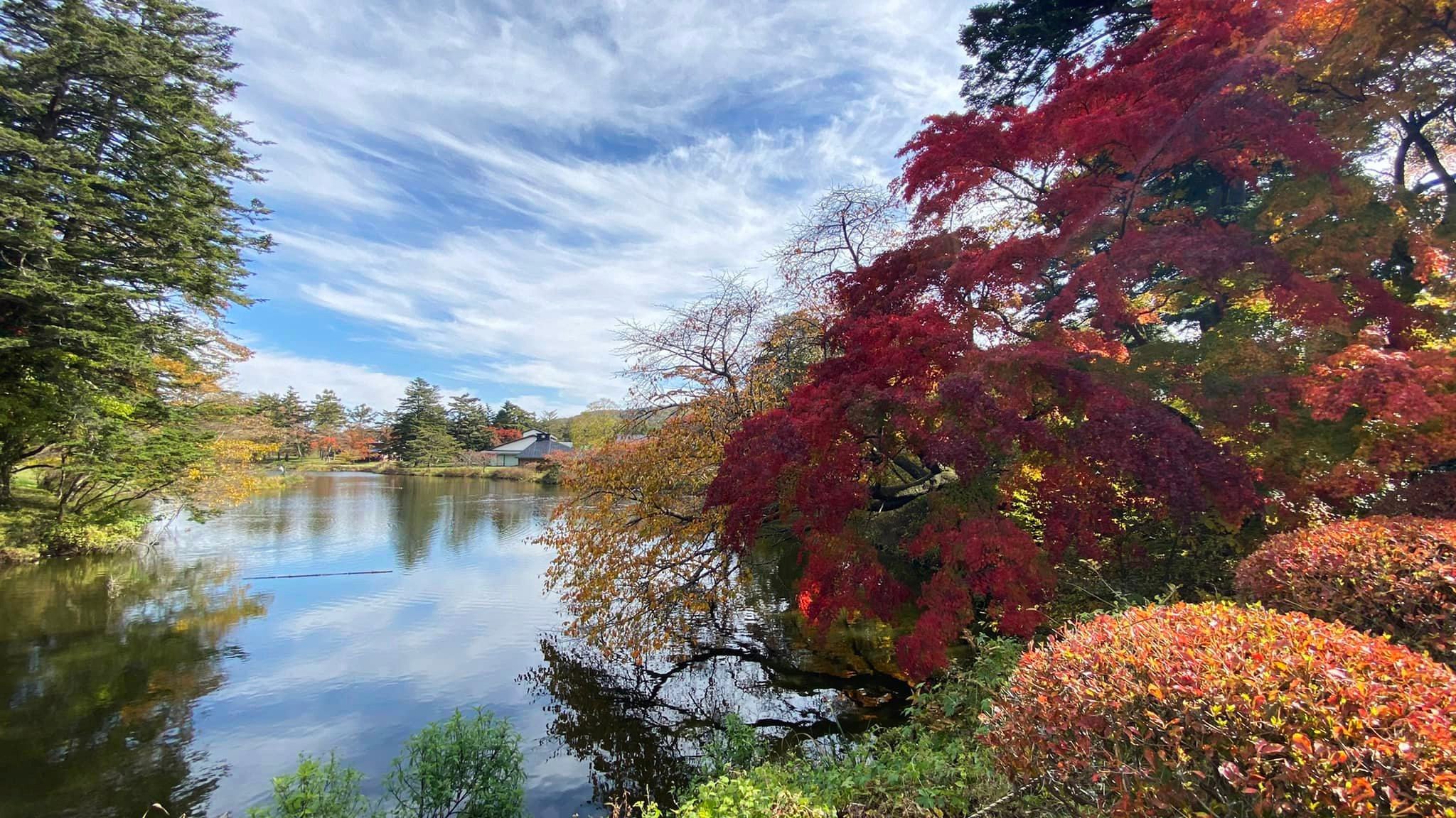 ❸水面に映る紅葉