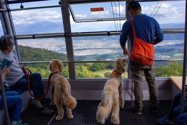 ワンちゃんも一緒に空中散歩♪