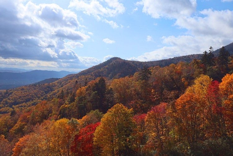 ロープウェー車中からの眺望