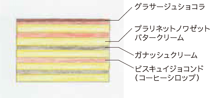 Gâteau Opéra ～ガトーオペラ～　断面図イメージ