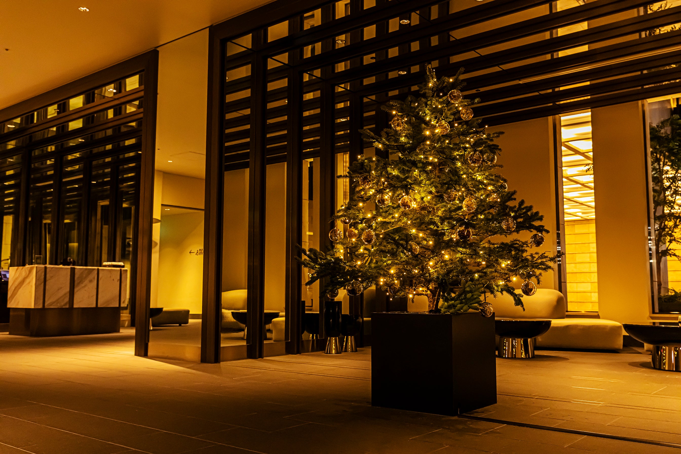 みんなで作るKIOI WINTER FOREST イメージ