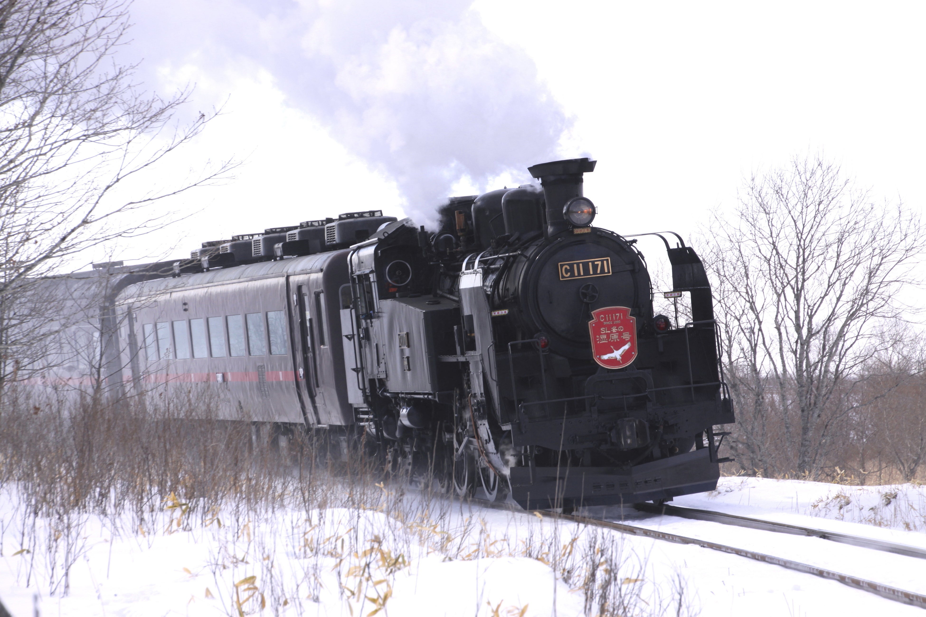 SL冬の湿原号イメージ