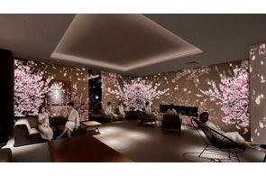 桜の開花まで待てない!「先取りお花見体験」をホテルで楽しめるプランを販売