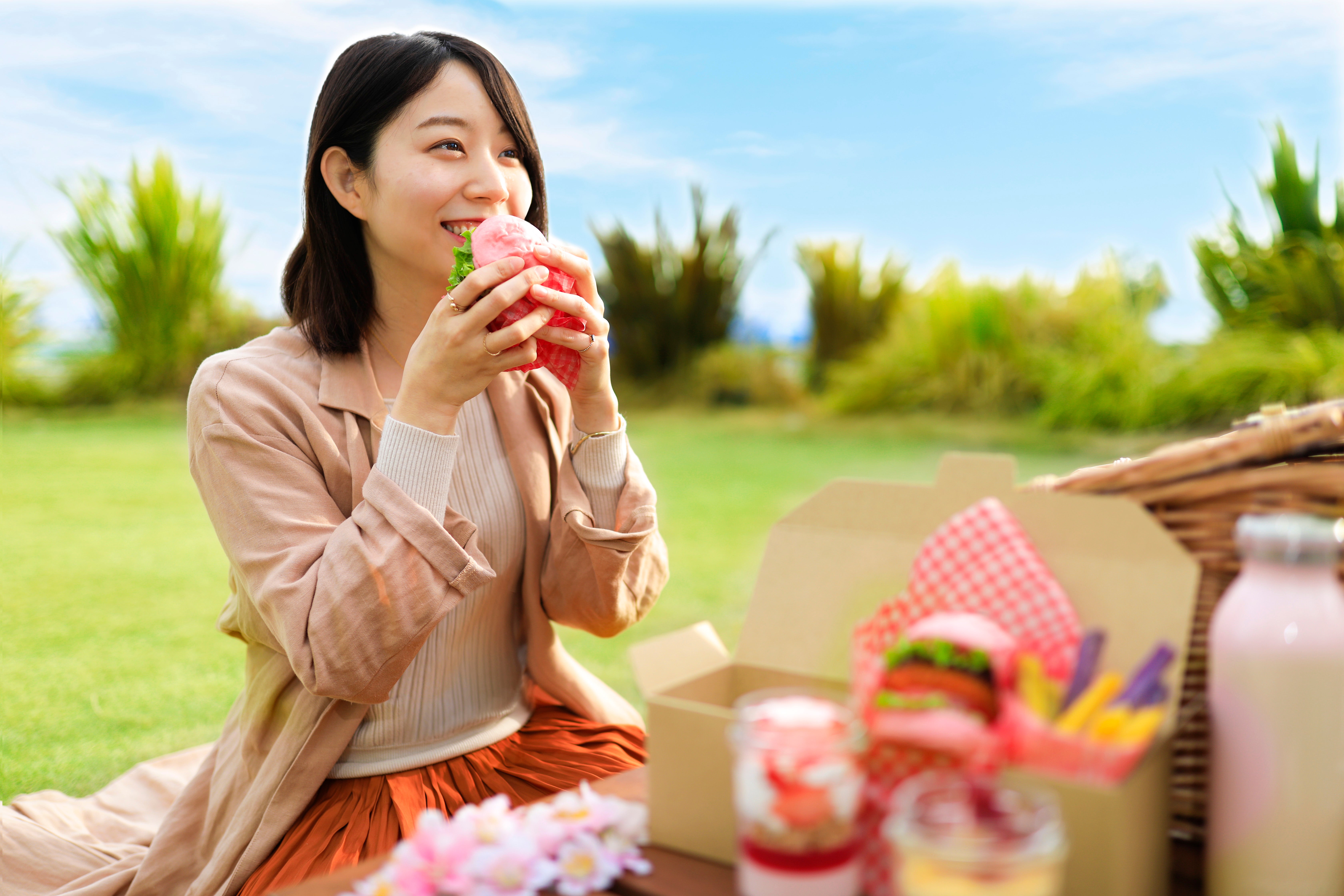 桜のピクニックランチ　イメージ