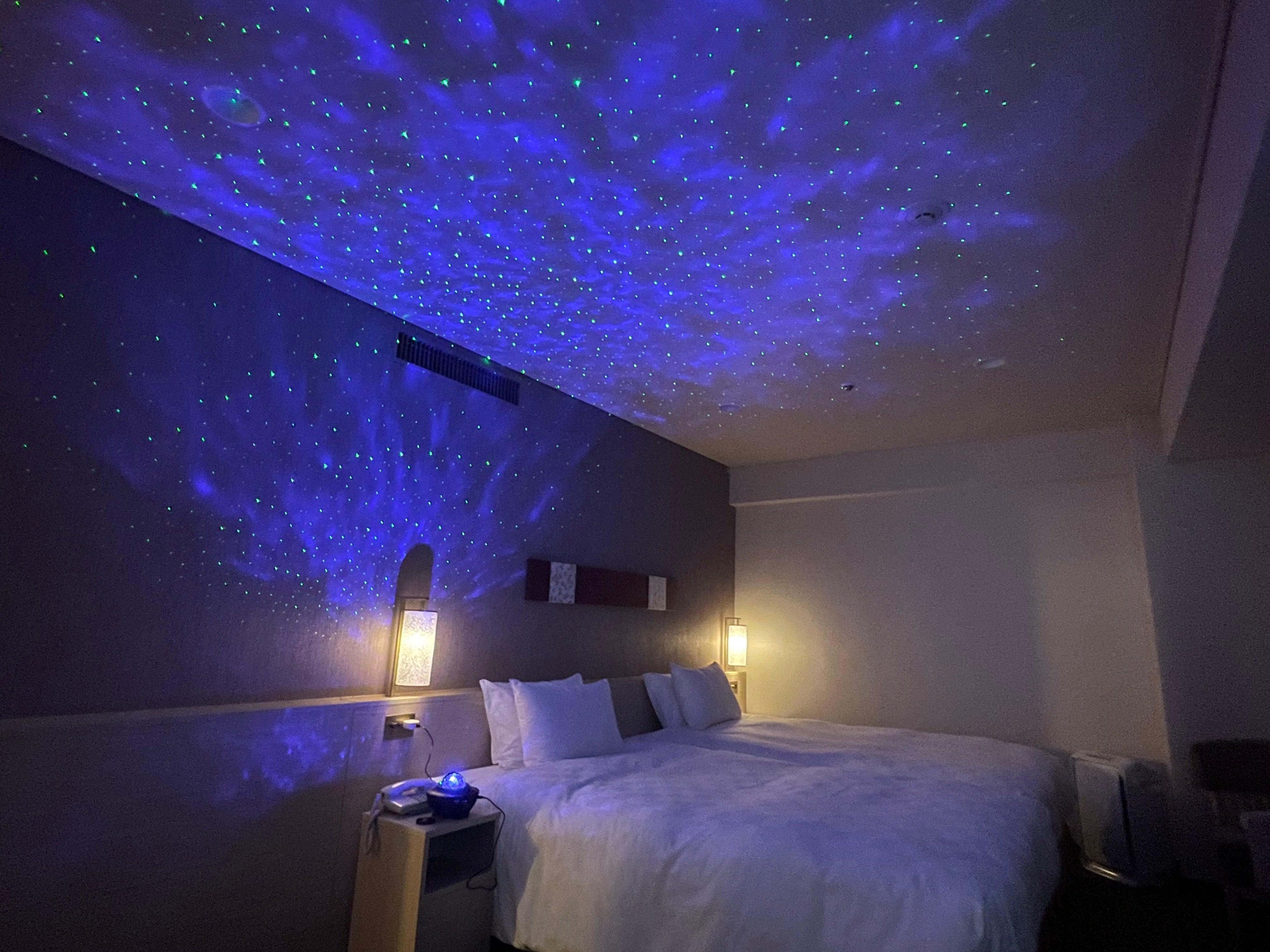 客室 プロジェクター使用イメージ