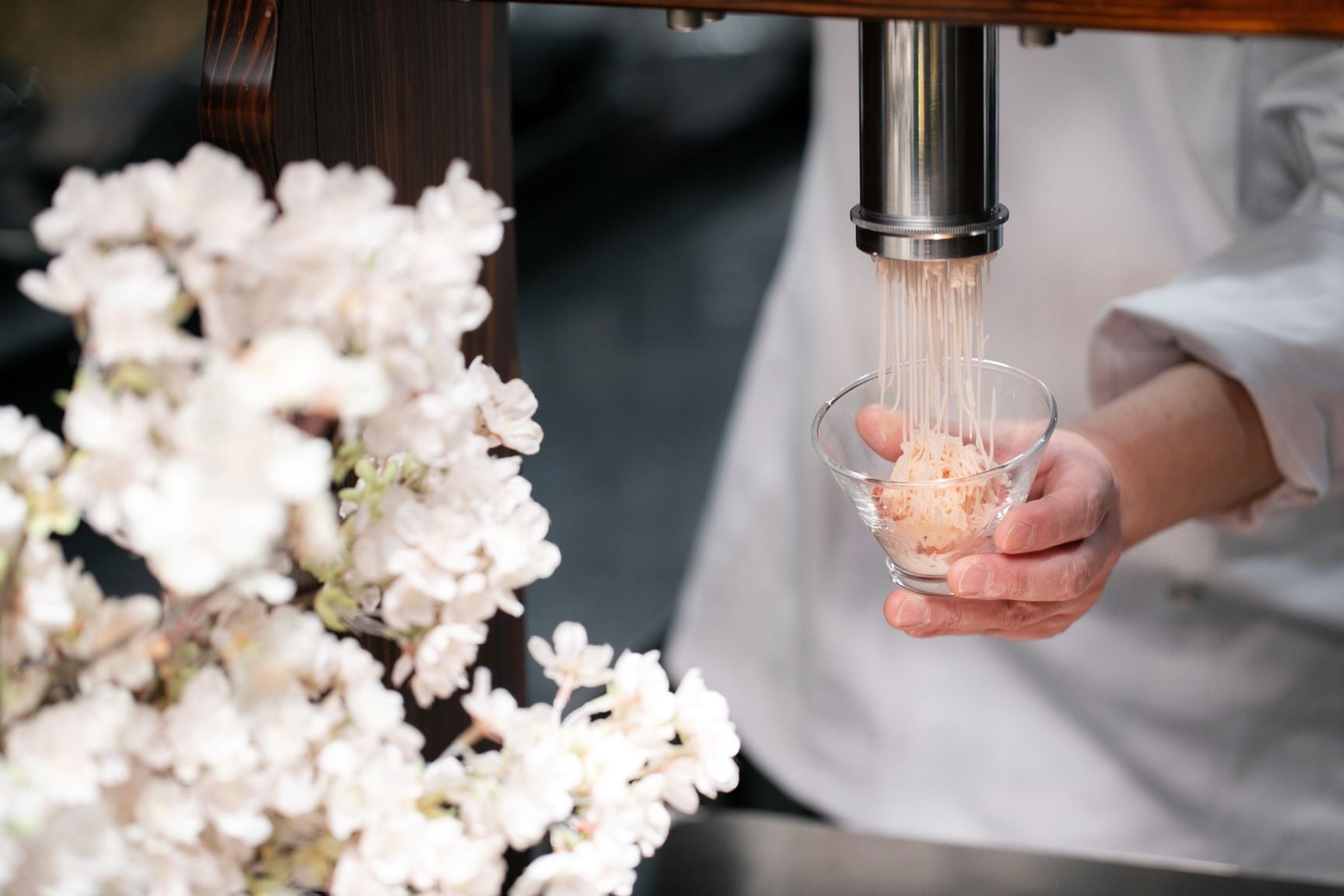 搾りたて桜モンブラン&ミルクアイスイメージ