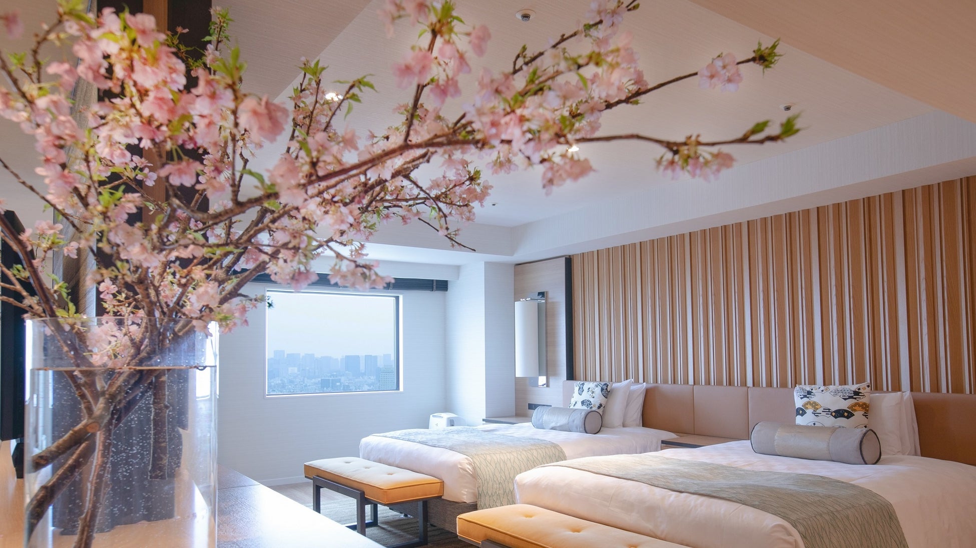 眺望と生桜のコントラストが楽しめる (イメージ)