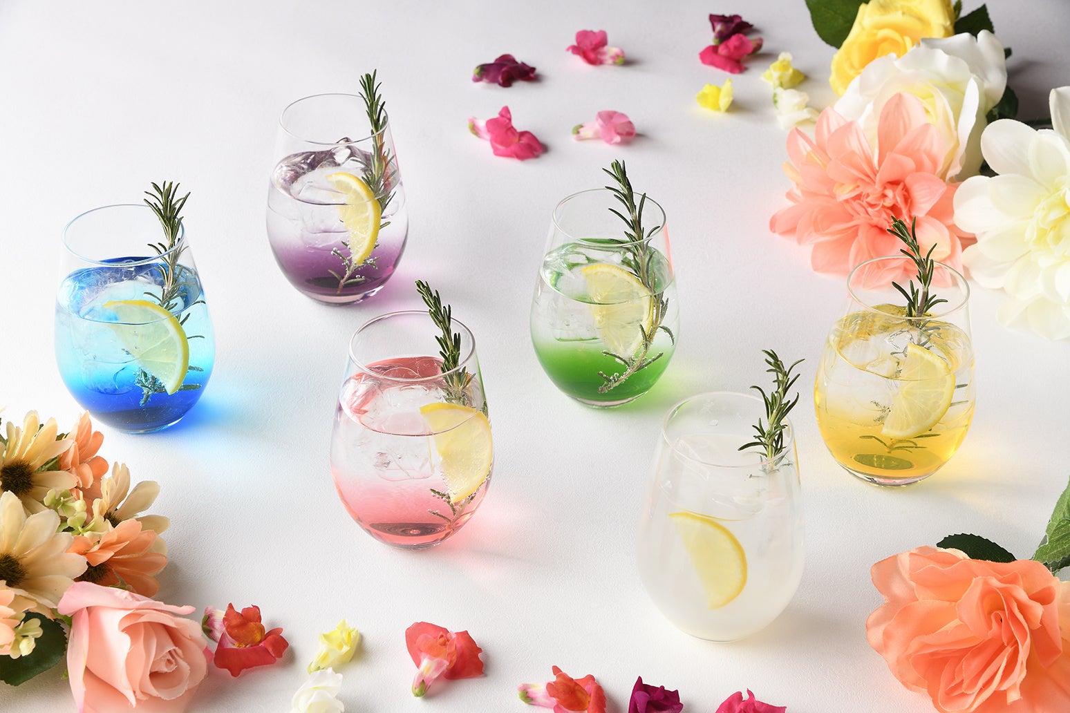 「カラフルスカッシュ（6色）」イメージ