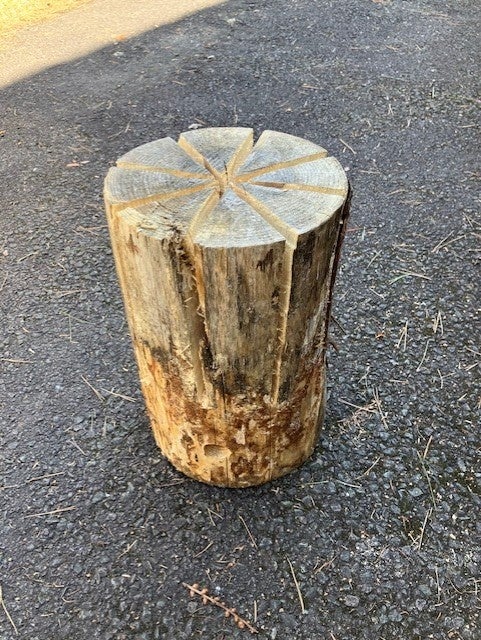 スウェーデントーチ