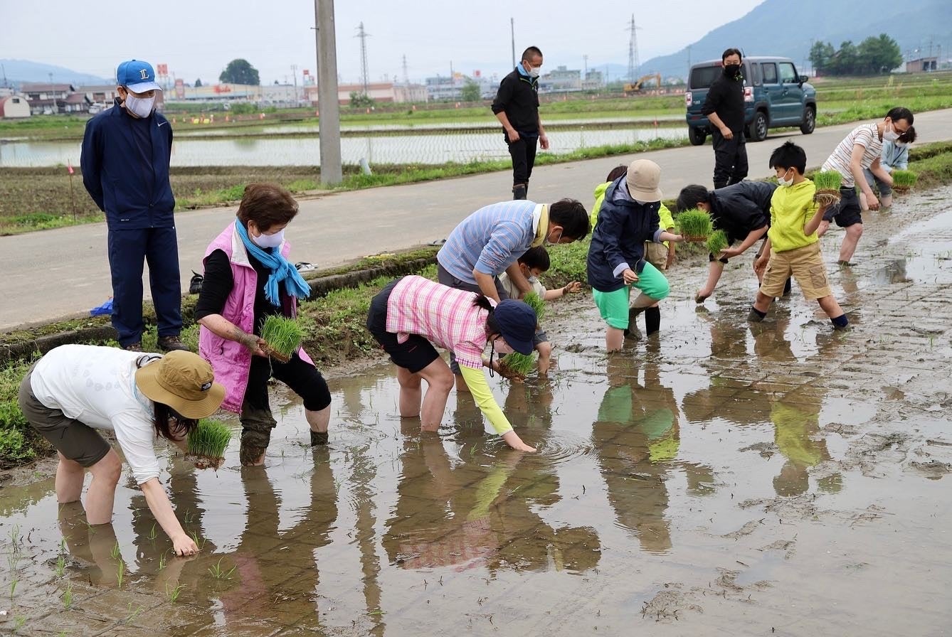 田植え体験イメージ