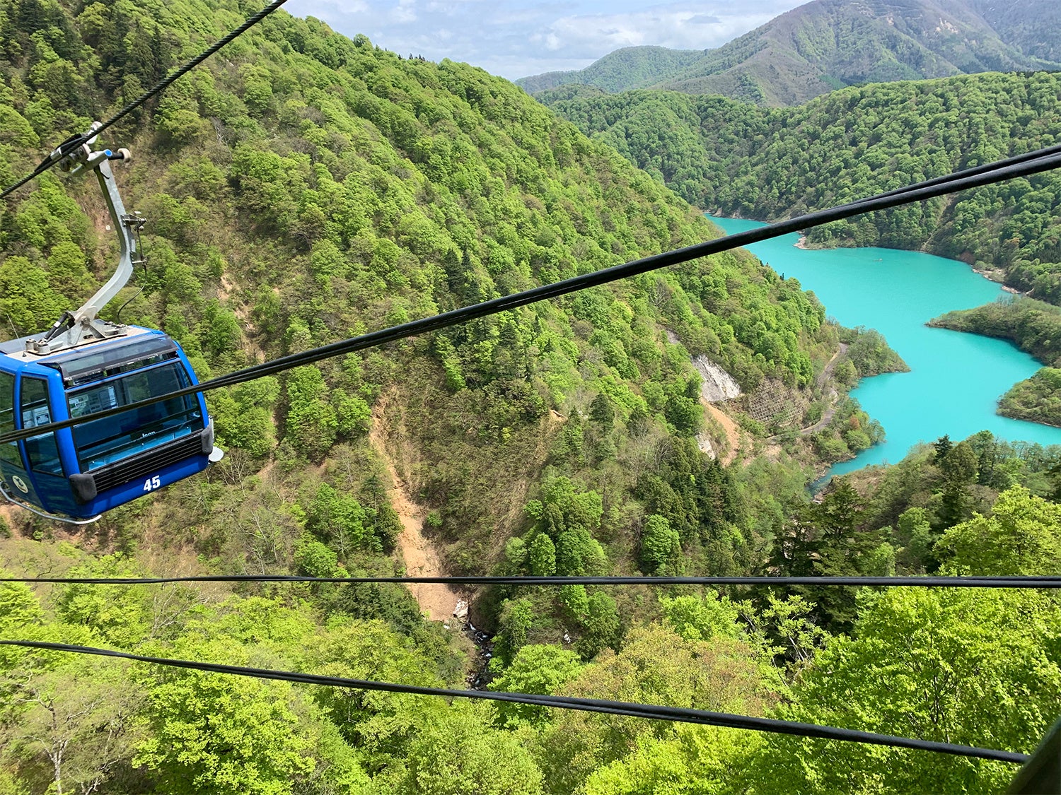 新緑の苗場ドラゴンドラ