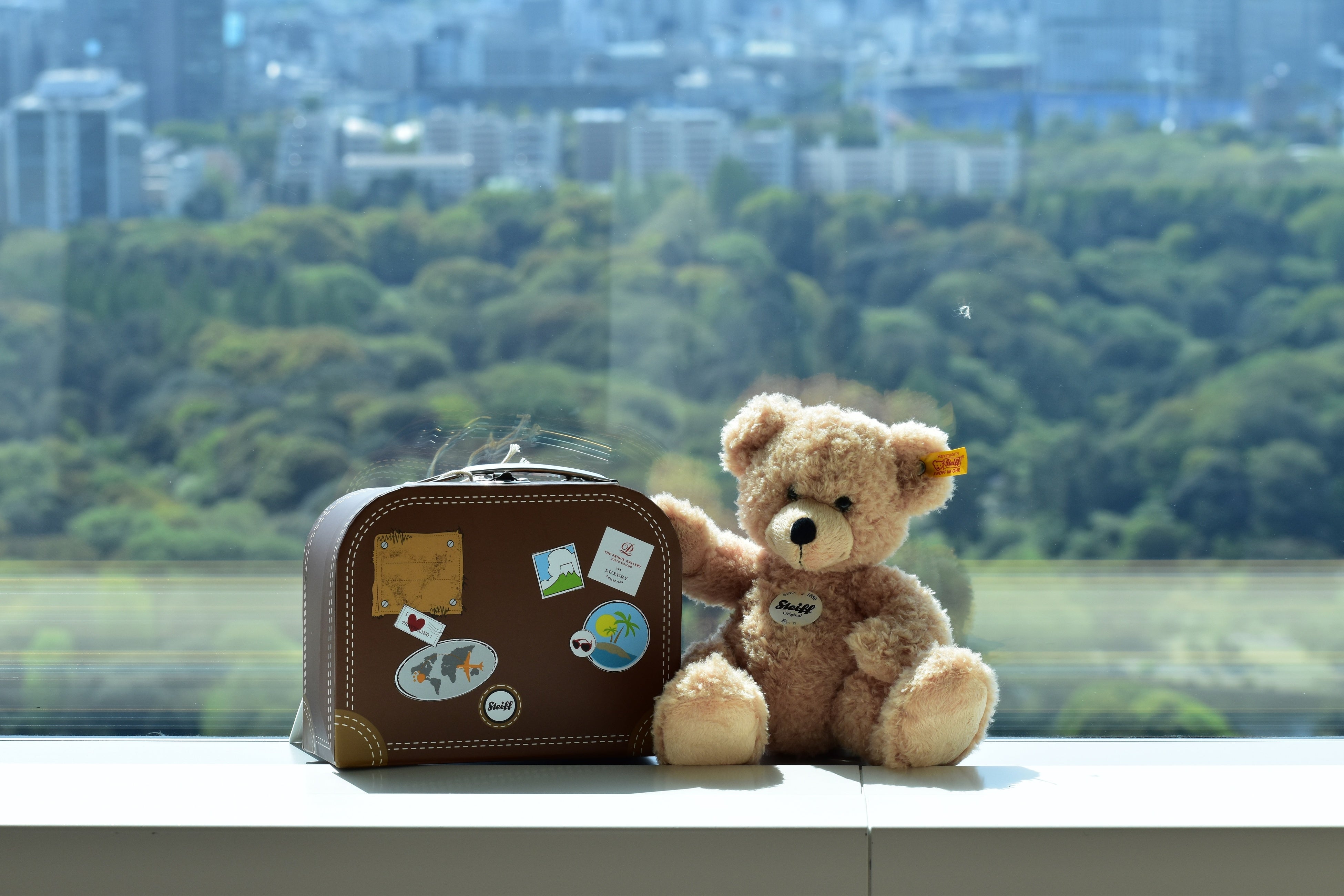 シュタイフのテディベア「フィン」イメージ