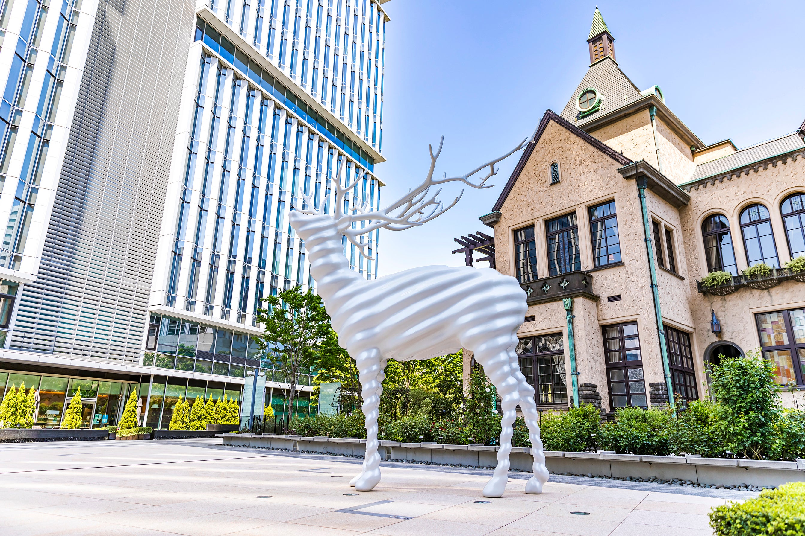 お子さま向けプログラム「Search ＆ Find Animals」イメージ