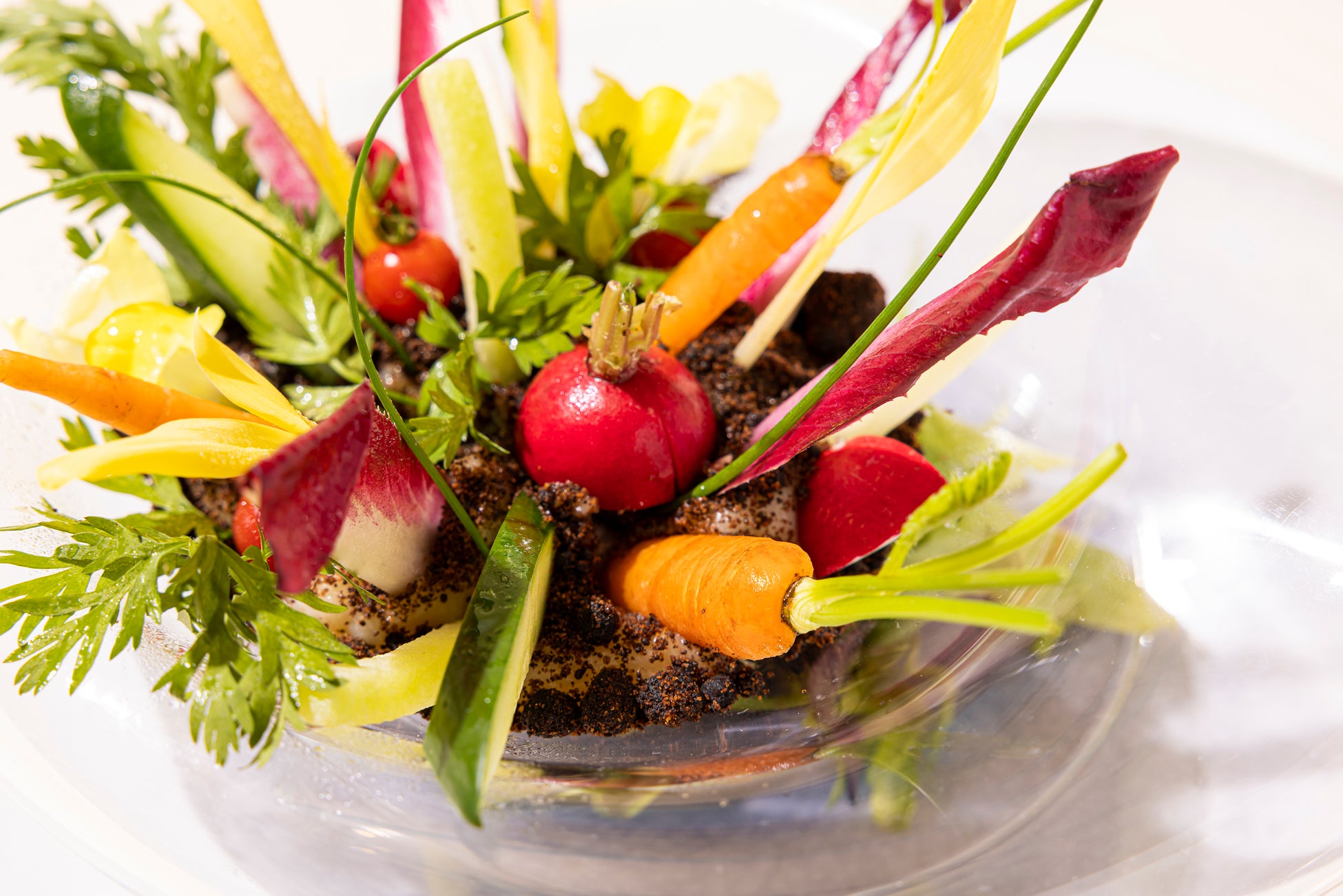 OASIS FARM HATAKE イメージ(ザ・プリンスギャラリー東京 紀尾井町)