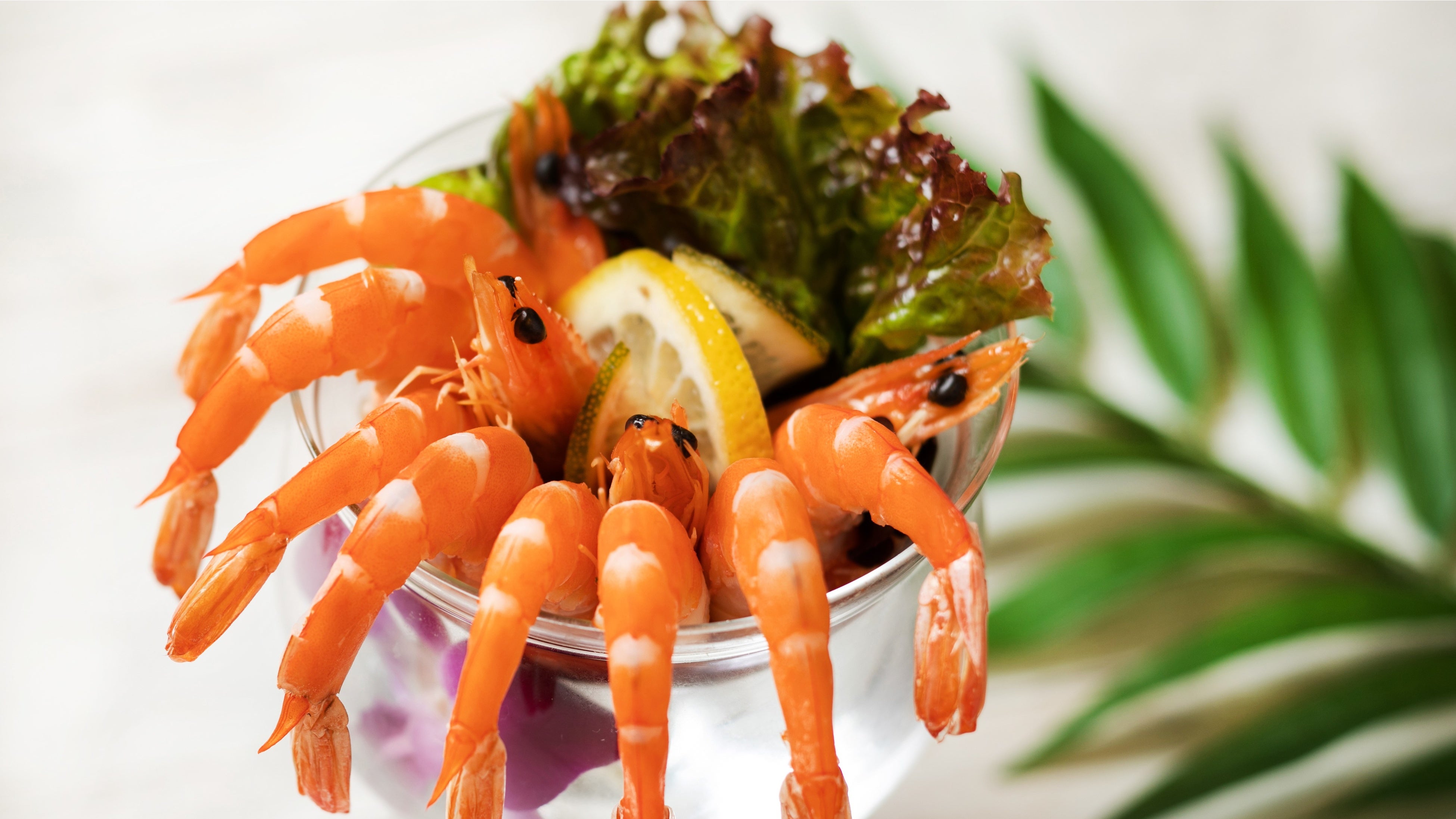 シュリンプカクテル　￥1,200