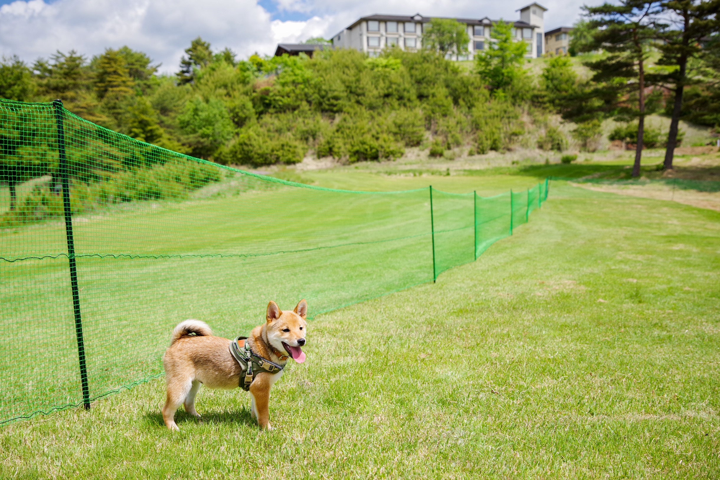 ホテル前のグラスガーデン（芝生の広場）併設のドッグラン