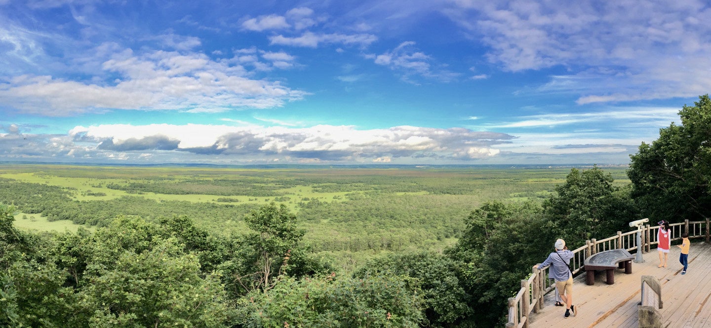 釧路湿原の景観イメージ