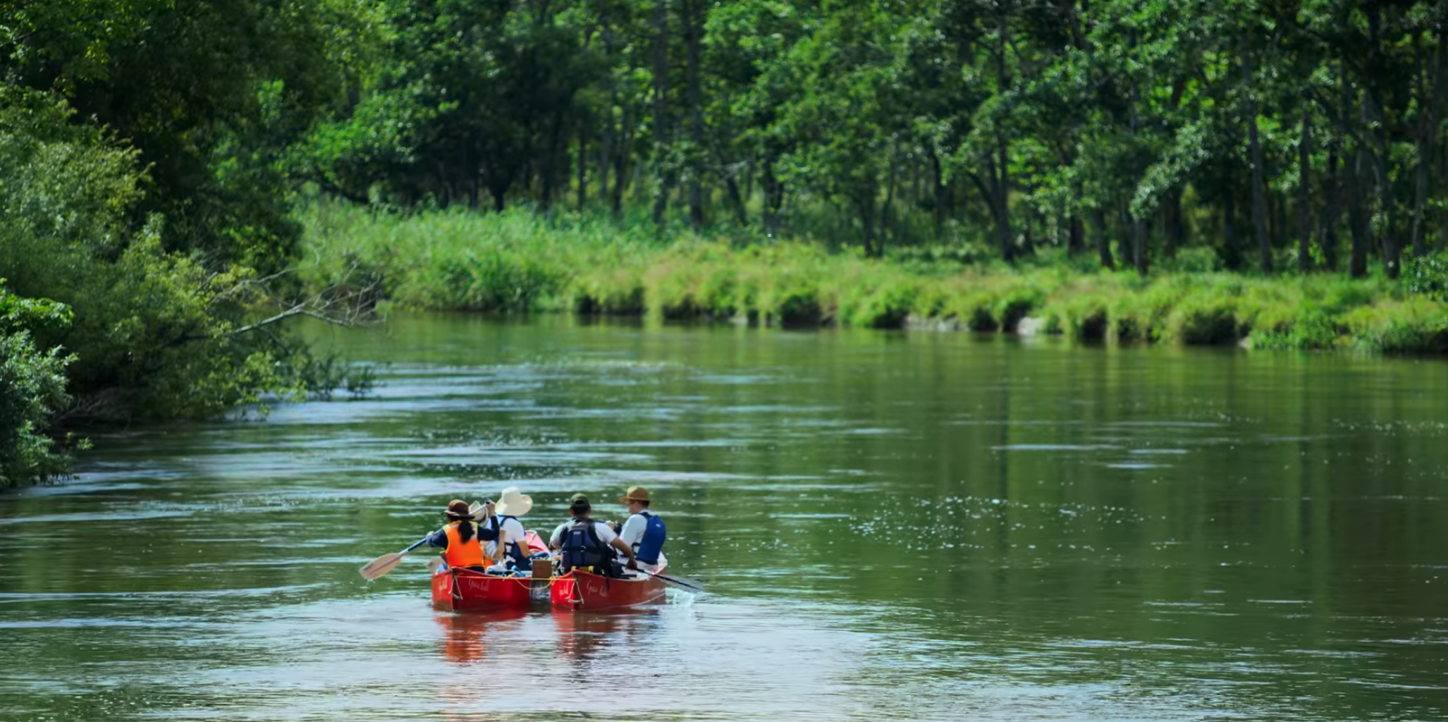 豊かな自然を感じながらのカヌー体験