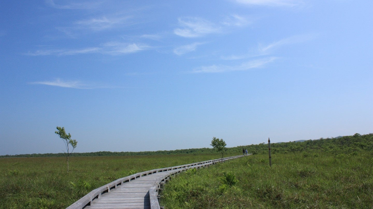 爽やかな空気を感じながら釧路湿原を散策