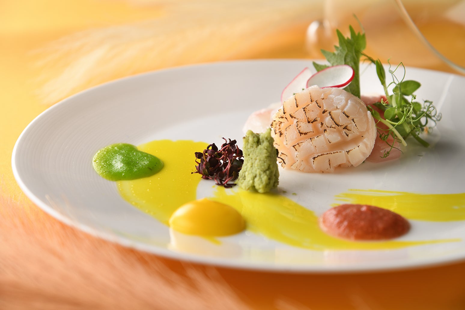 海の恵み(イメージ) 海の恵み(イメージ)