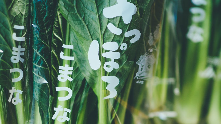 札幌近郊で採れた