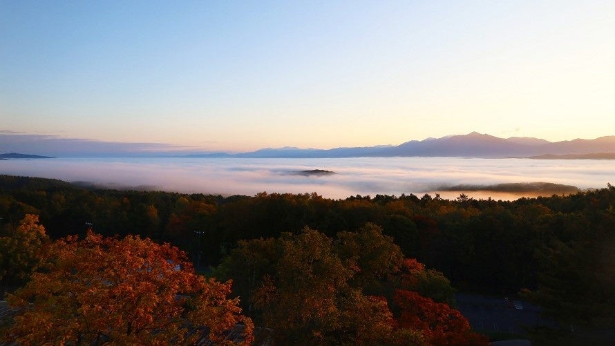 客室からの絶景紅葉