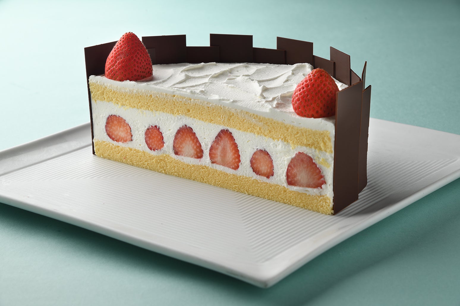 Joyeux Noël 断面（イメージ）