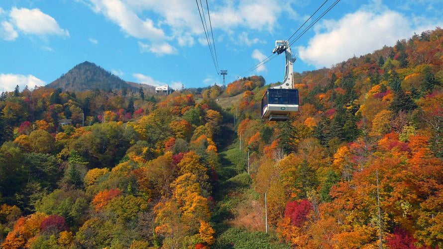 秋の富良野ロープウェー