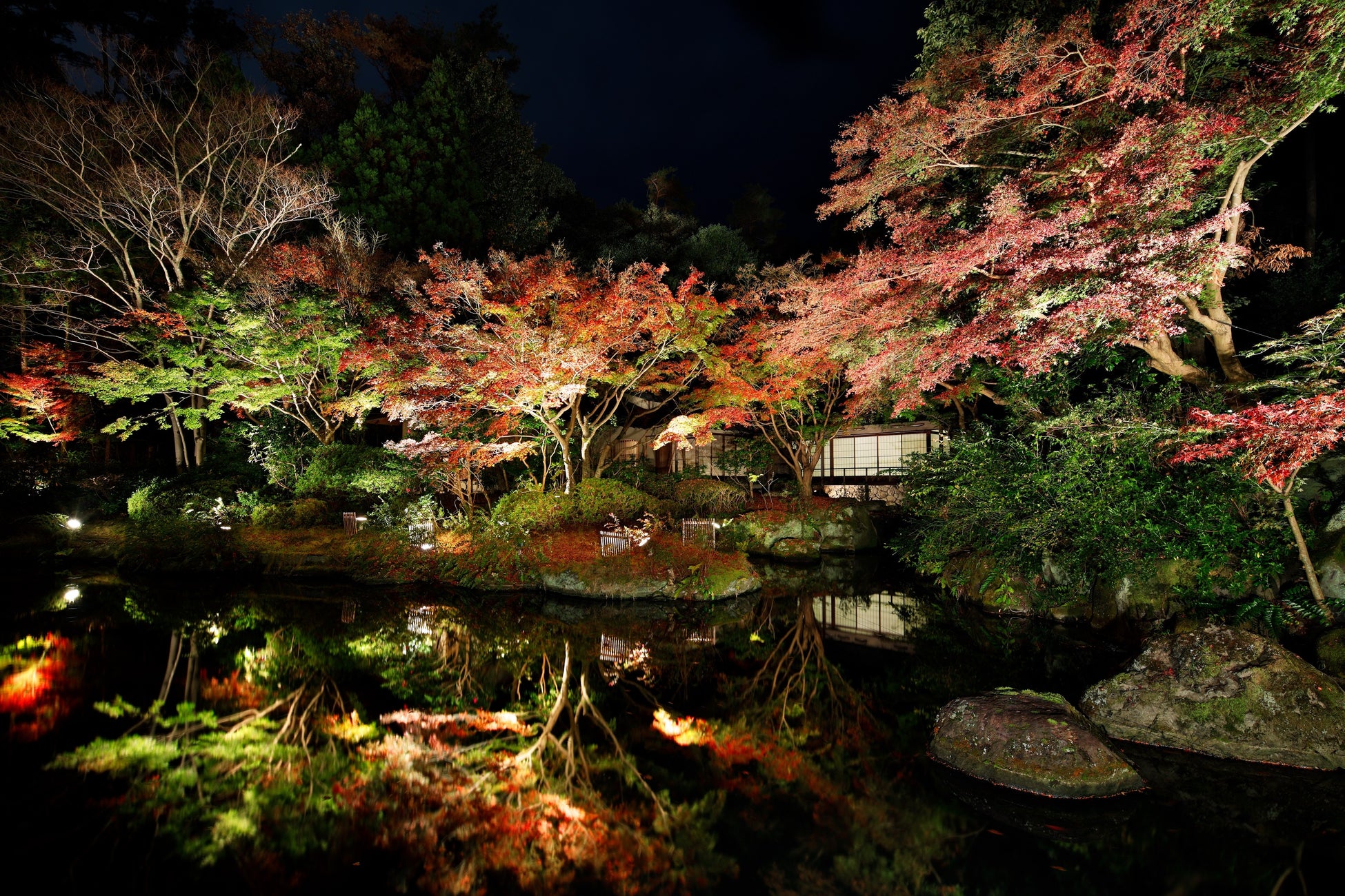 「茶寮」と日本庭園 紅葉の季節の夜景