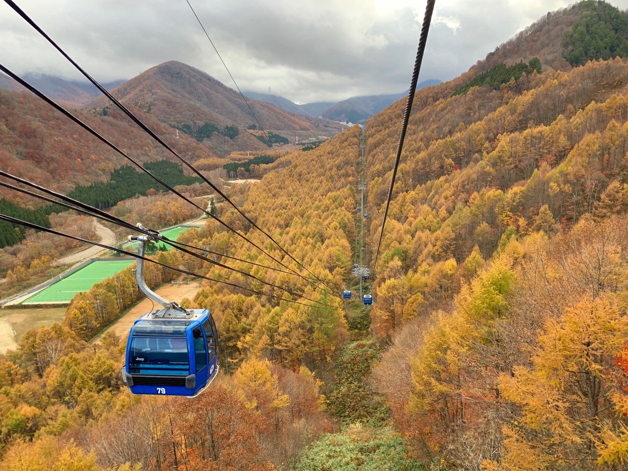 黄葉に色づくカラマツ