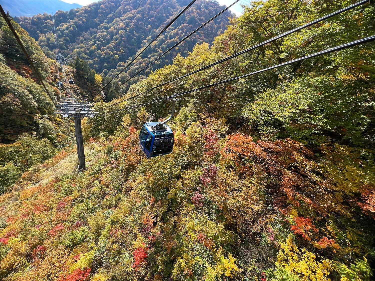 鮮やかな紅葉の中を進むドラゴンドラ