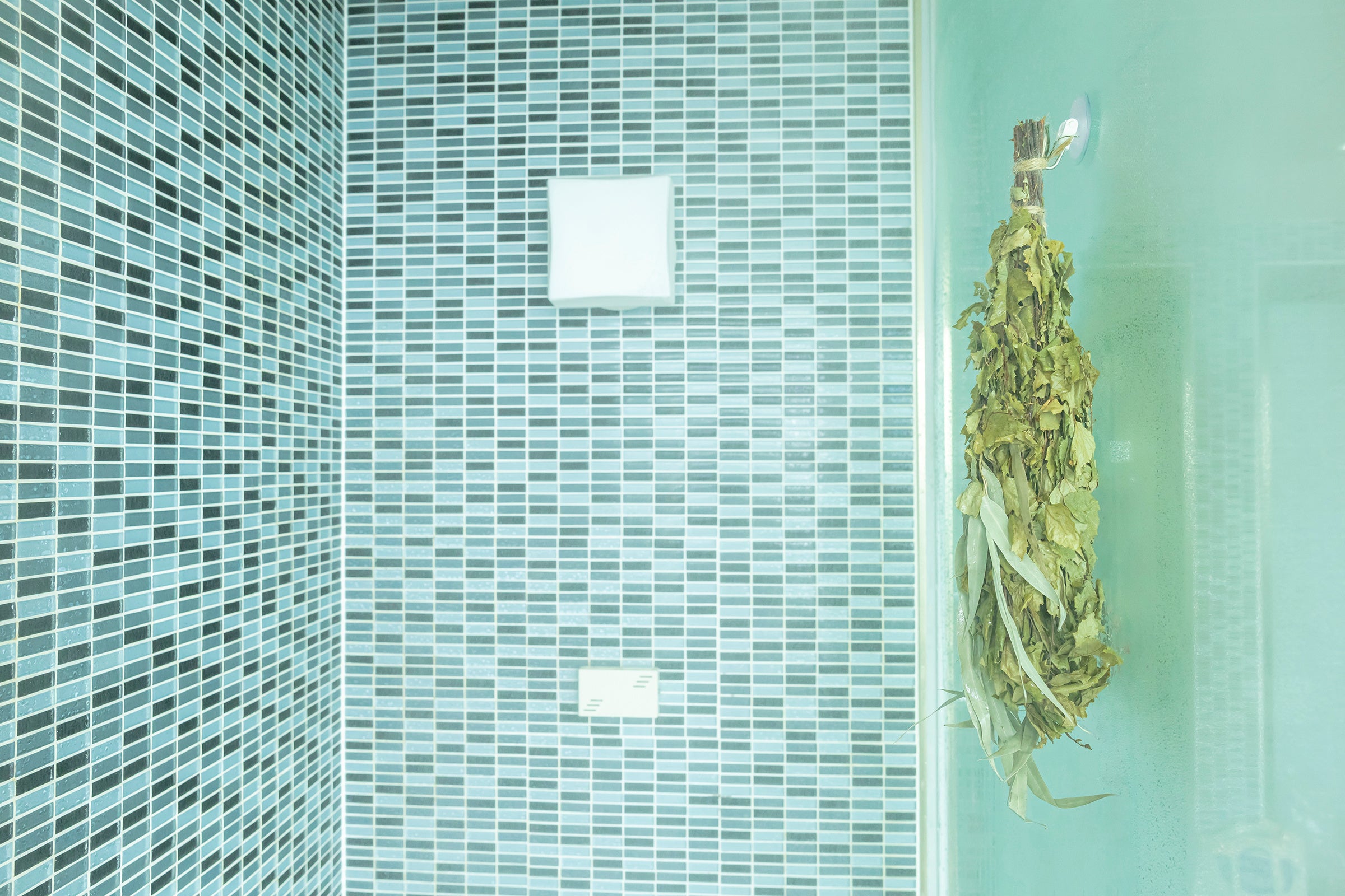 ヴィヒタ イメージ