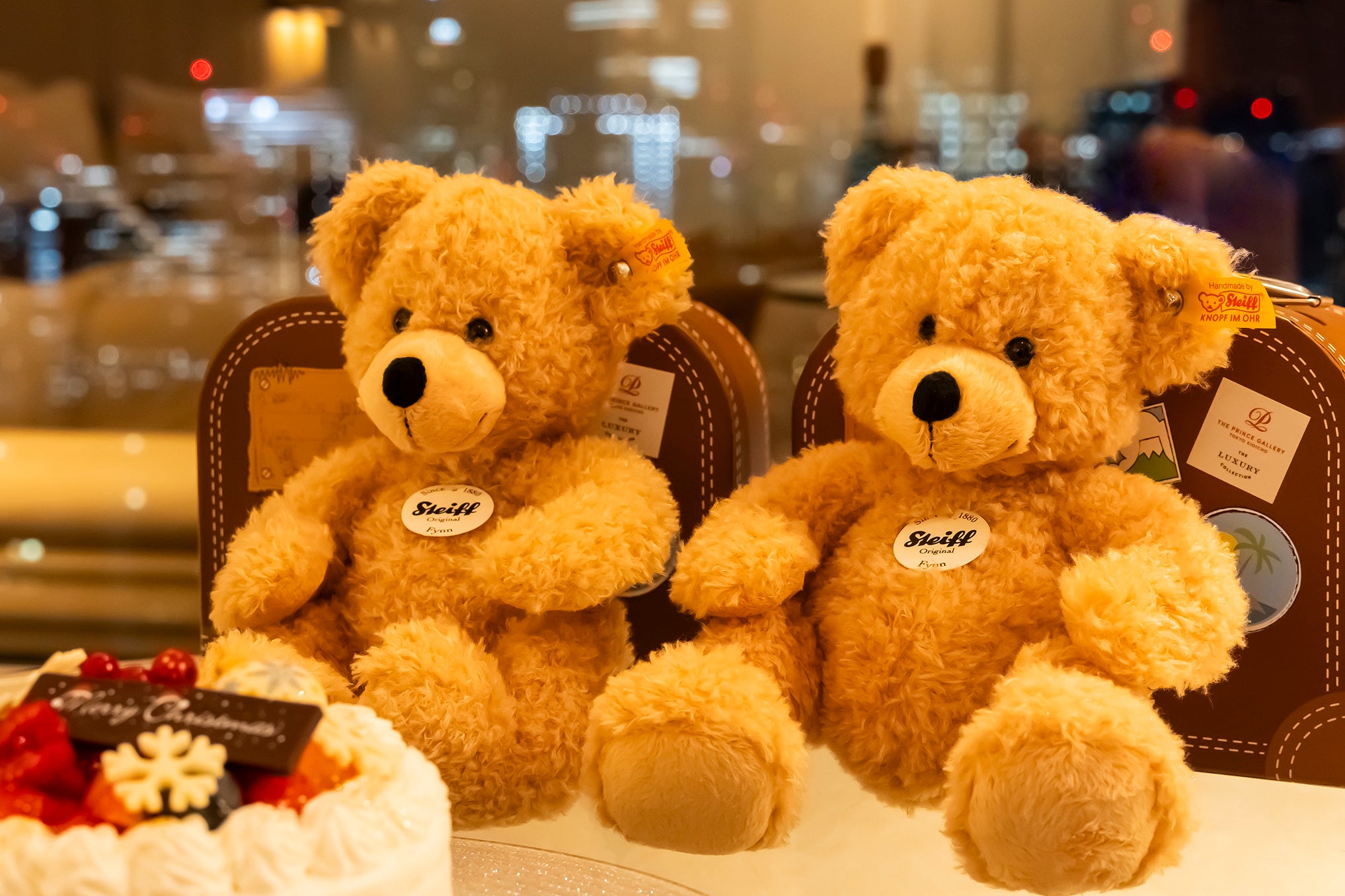 Can’ｔ Wait ’Til Christmas！ フィン イメージ