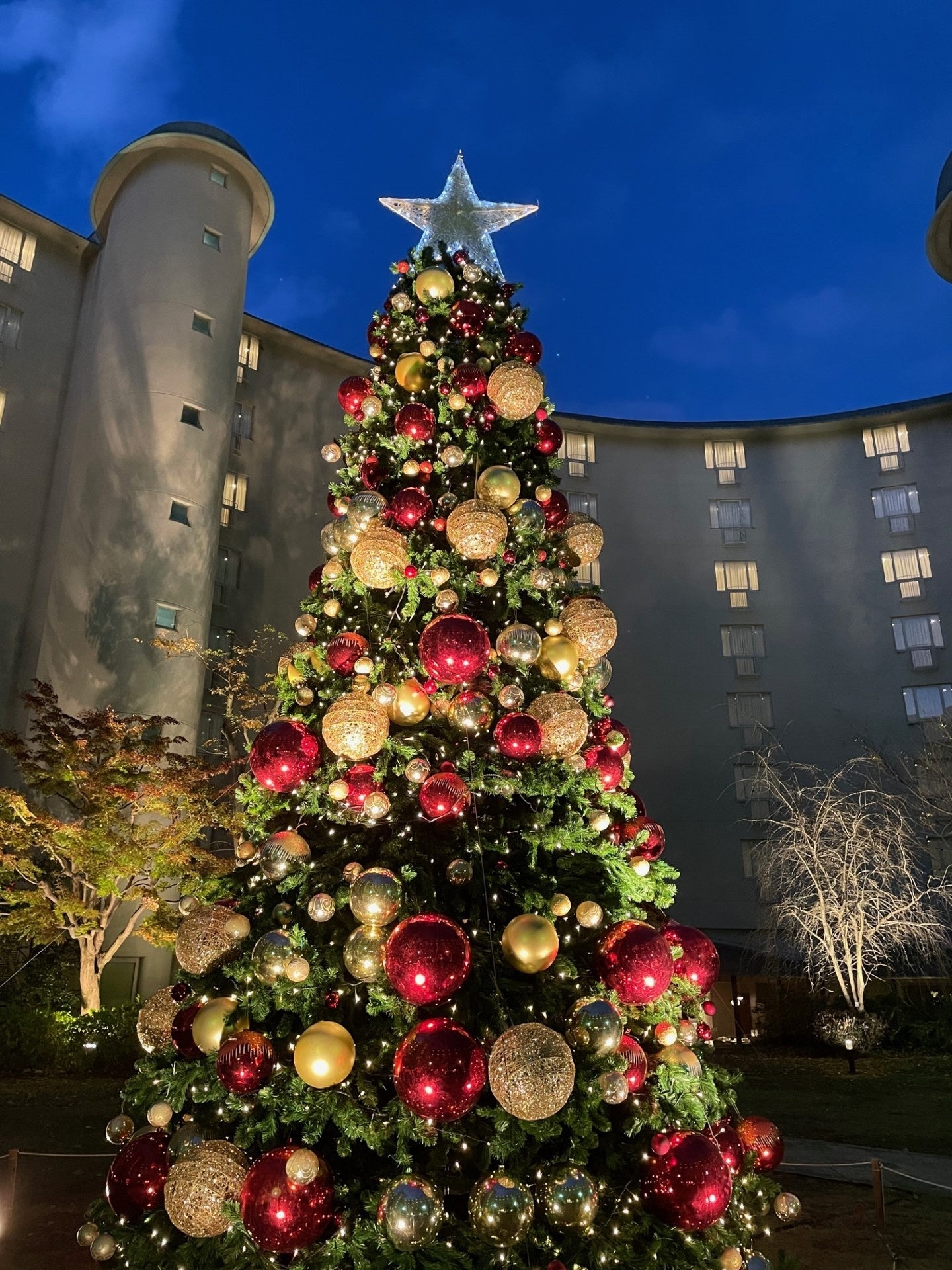 ポイント3．中庭のクリスマスツリー