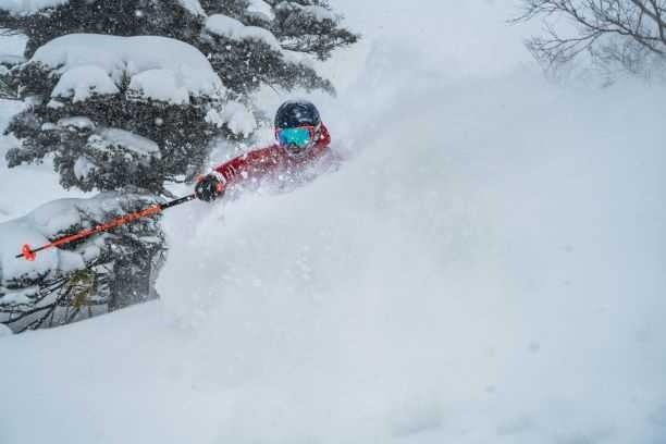 新設ツリーランコース「YAKEBI VALLEY」