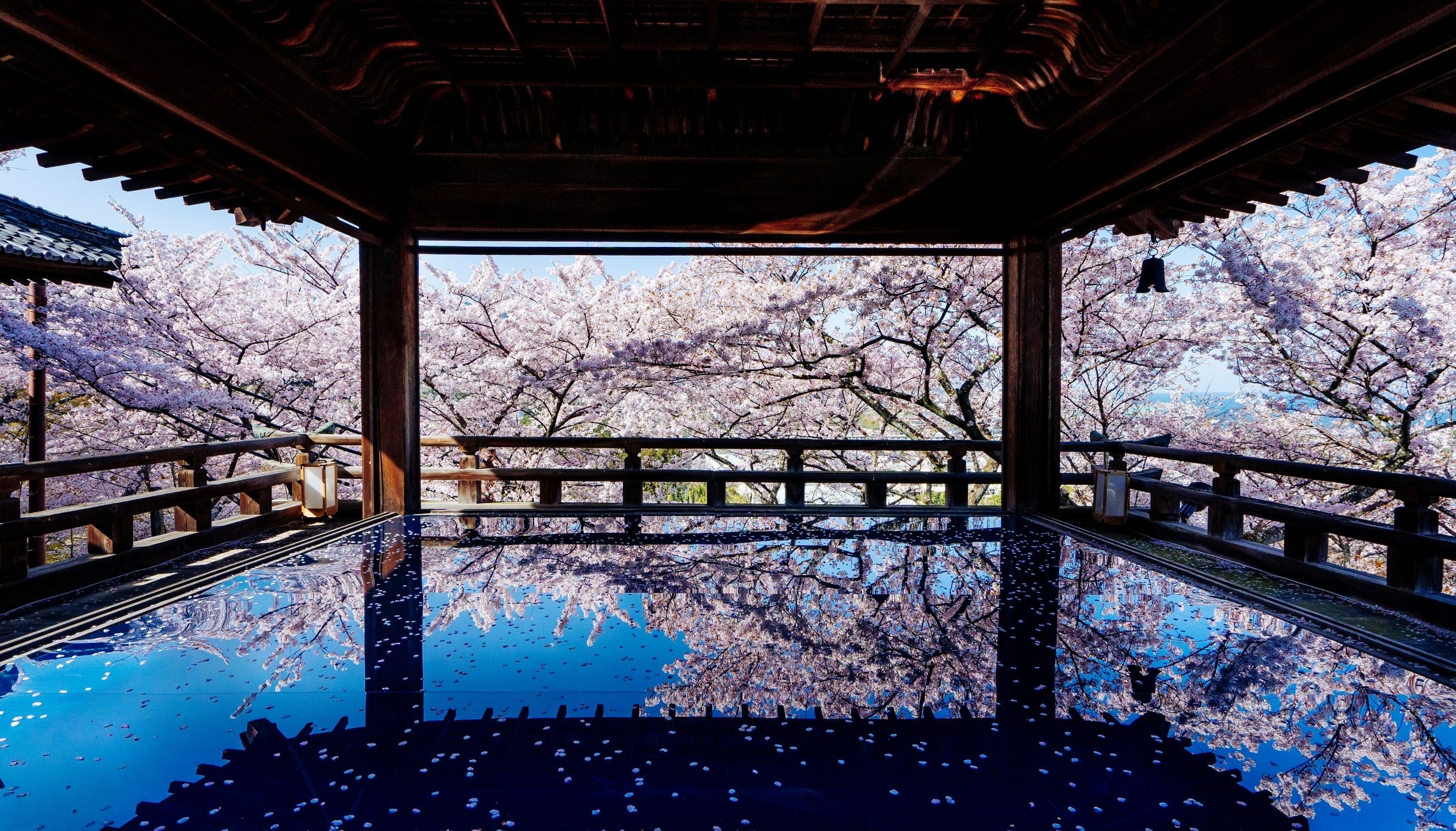 特別公開　総本山 三井寺「観月舞台」