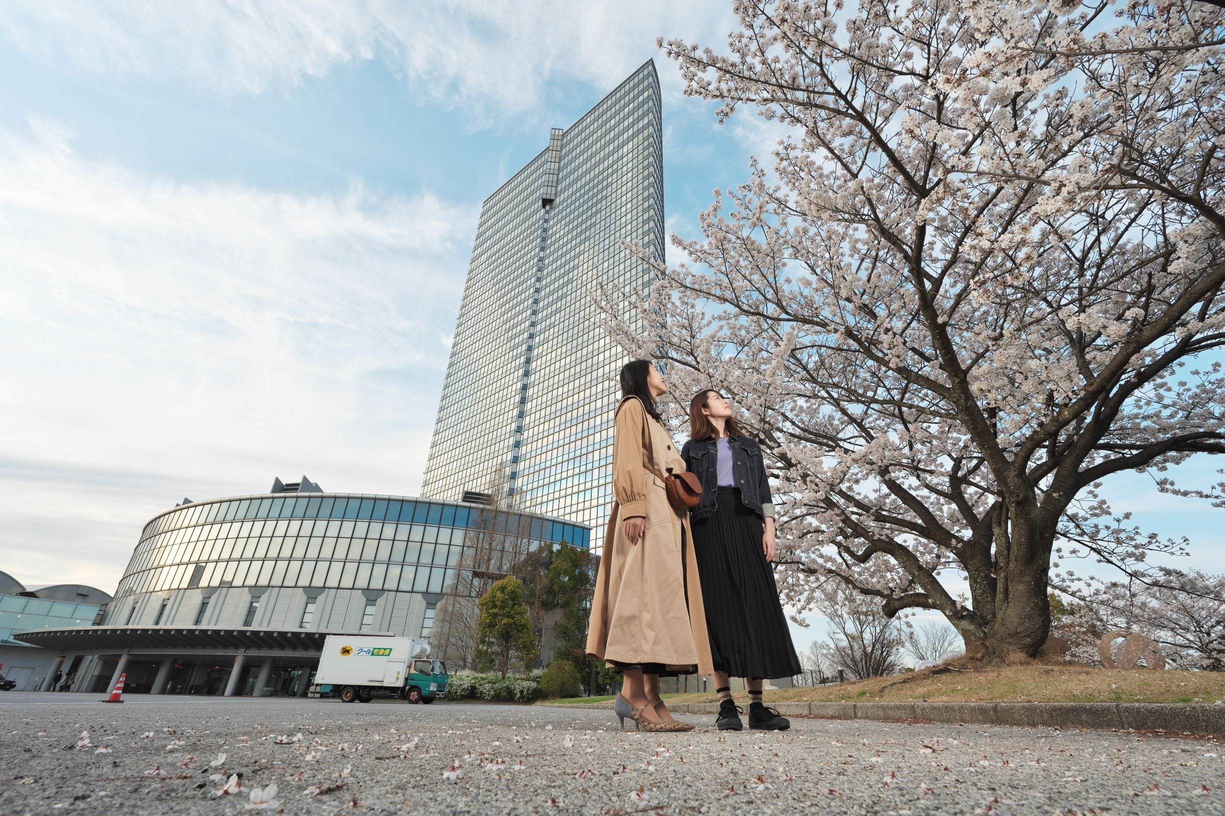 ホテル玄関前に咲く美しい桜