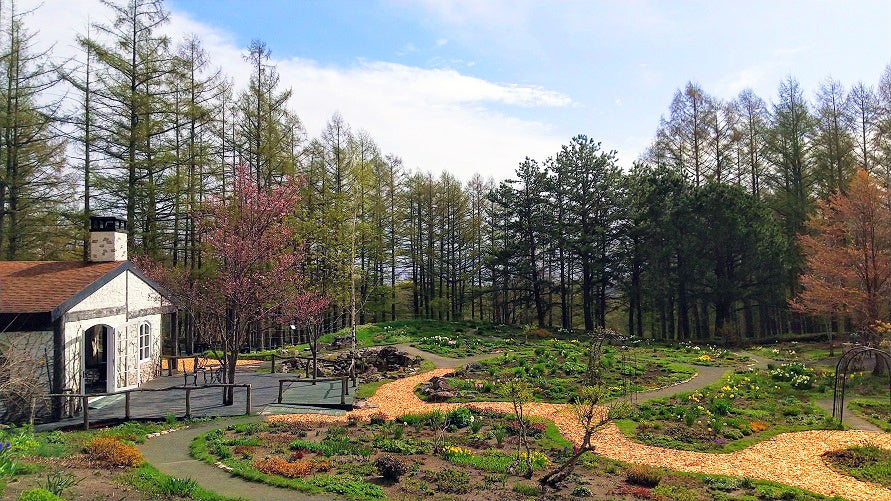 5月初旬 風のガーデン