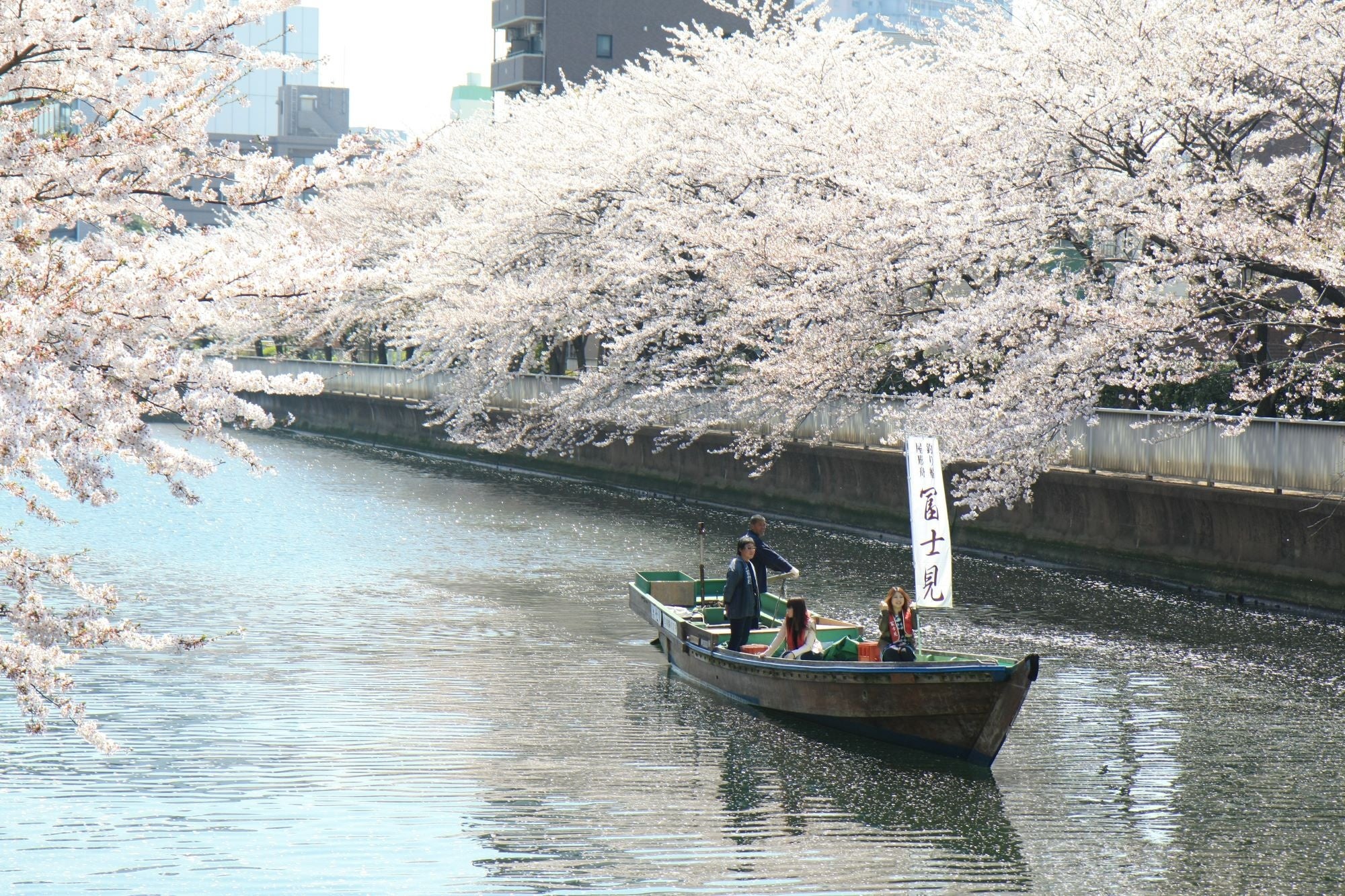 さくら回廊クルーズ　イメージ