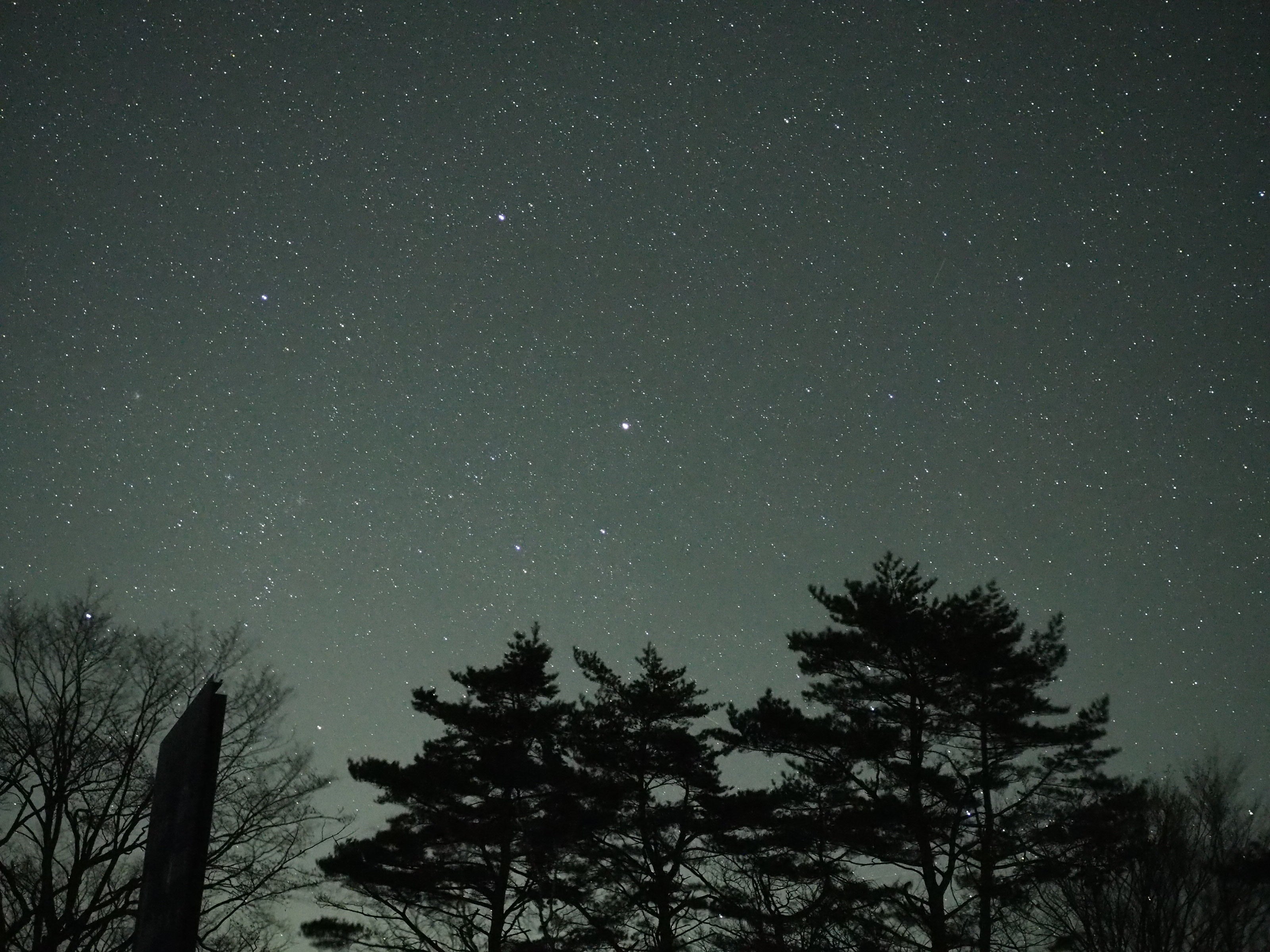 【晴山（せいざん）ゴルフ場】夜のゴルフ場という特別な空間で星空観察「星空観望会 2025　Winter」イベント開催